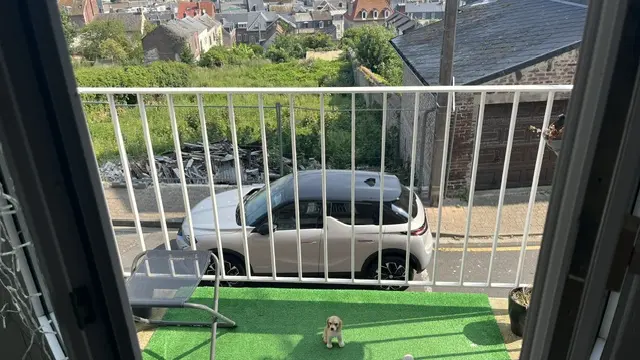 Le-Tréport_Petite-Maison_Balcon_Mme-Moulin@2026