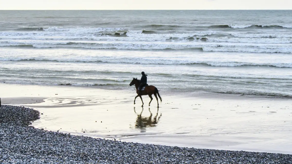 Le-Treport_Villa-17©C-G-Dao-2021_45