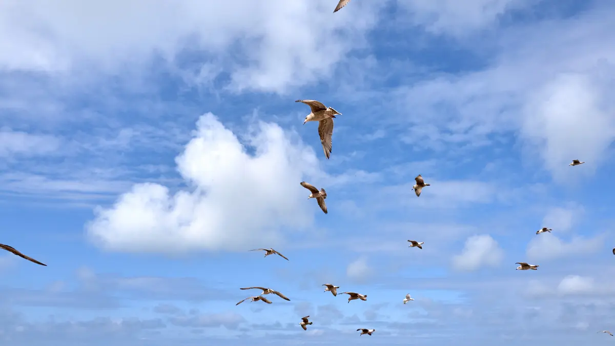 Le-Treport_Villa-17©C-G-Dao-2021_47