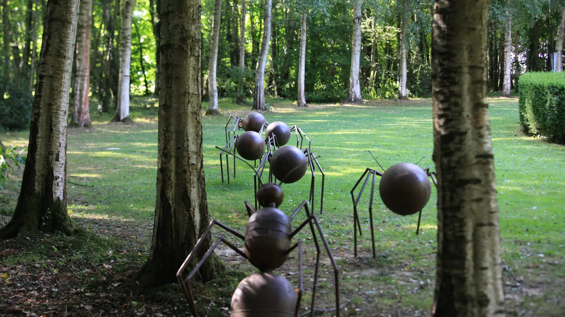 Cercle de bouleaux, fourmis de Jean-Pierre Lartisien