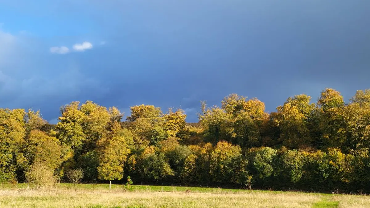 Maison-parenthèse-la-mailleraye-le-torp-mme-Savy (2)