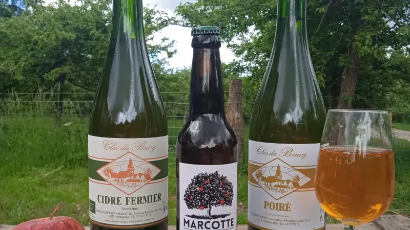 Marcotte - Saint-Saire