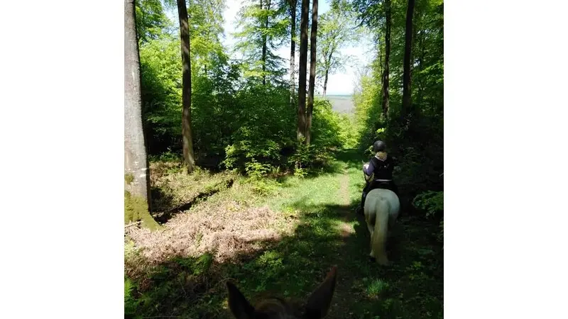 Mont-de-l-If-Ecurie-du-Val-au-Cesne-Boulant-2020-7