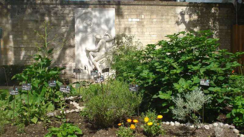 Musee Flaubert et histoire de la medecine