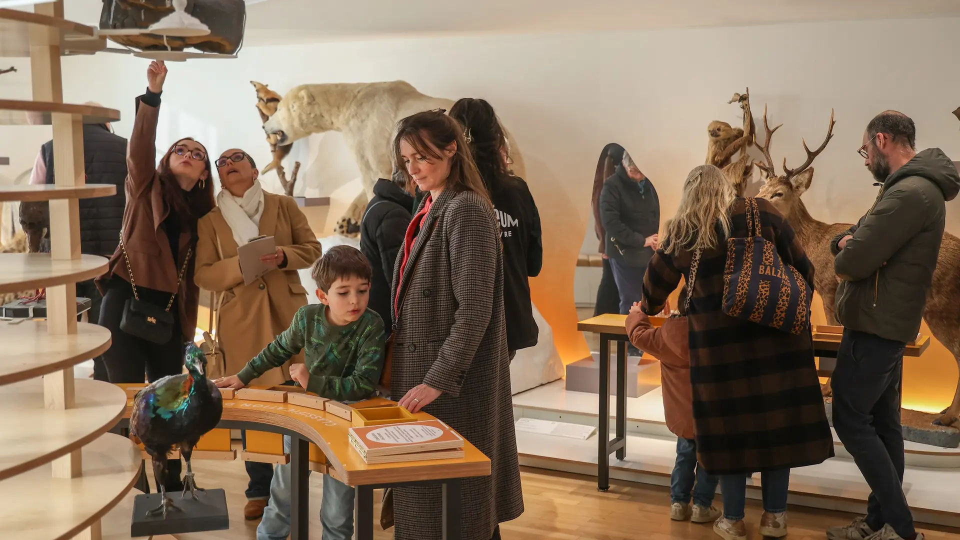 Muséum d'histoire naturelle du Havre