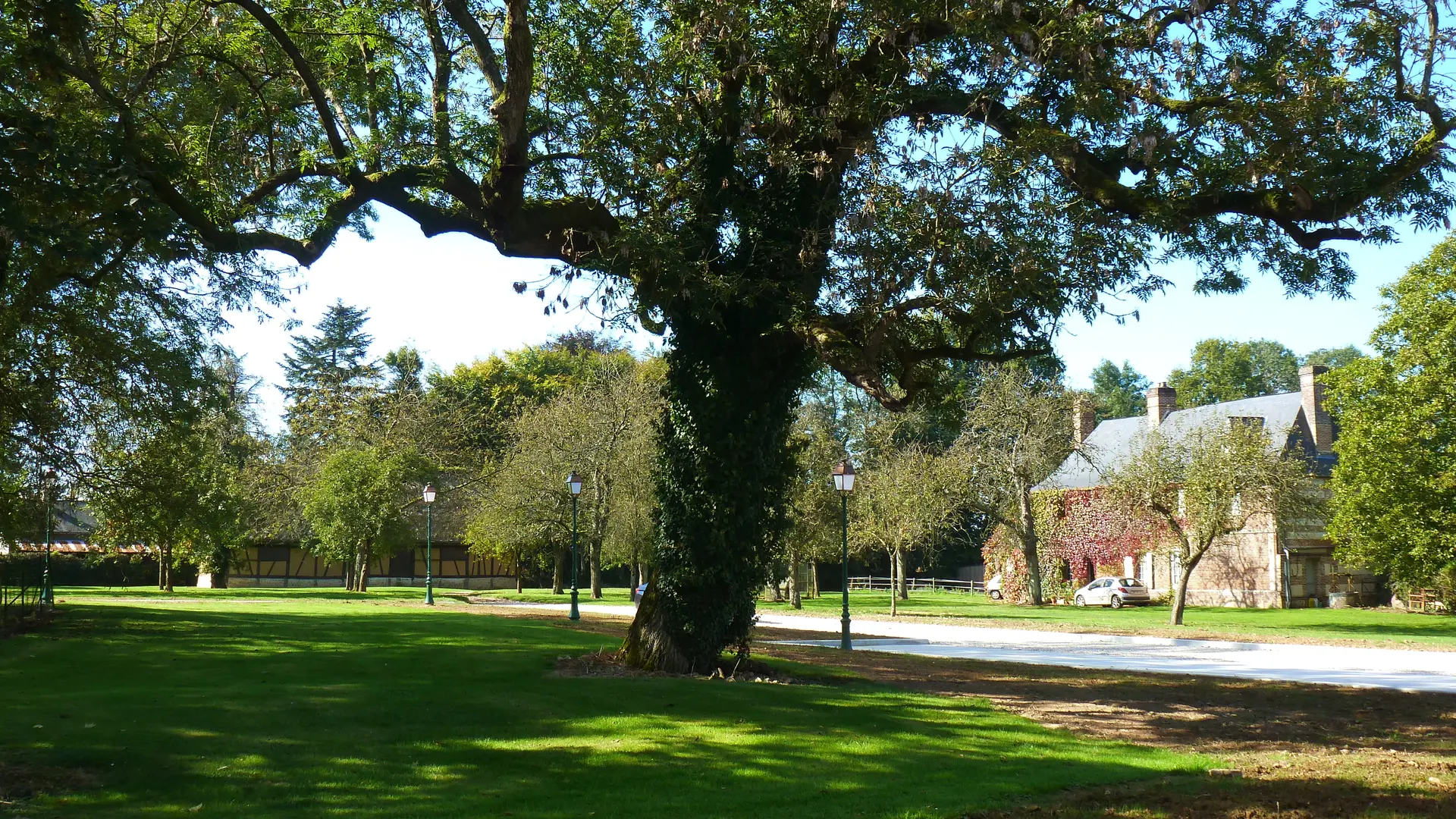 Cour plantée