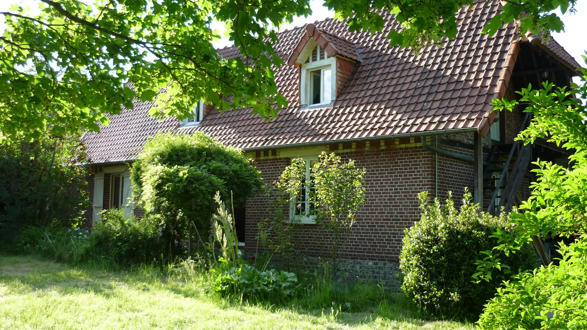 Au milieu de la verdure