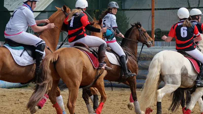 PCDY©AssoCavaliersdurdent_HorseBall_2020_800x600