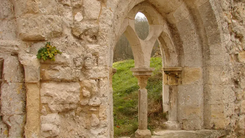 Abbaye de Mortemer(2) © A Maisonhaute, Eure Tourisme