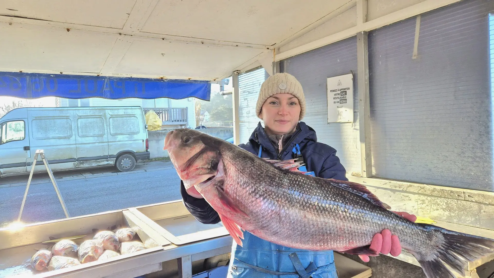 Poisson Ti Paul