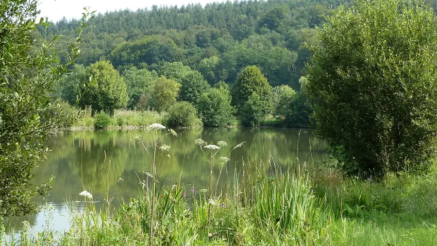 PNA-grainville-la-teinturiere-basses-eaux-ccca-2020--3-