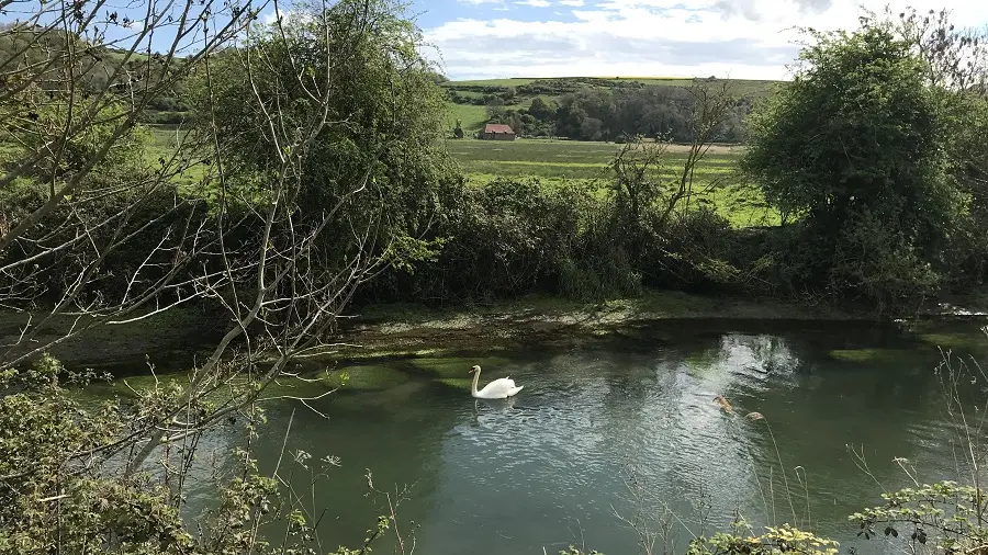 PNA-veulettes-sur-mer-parcours-basse-vallee-durdent--ccca-2020--4-
