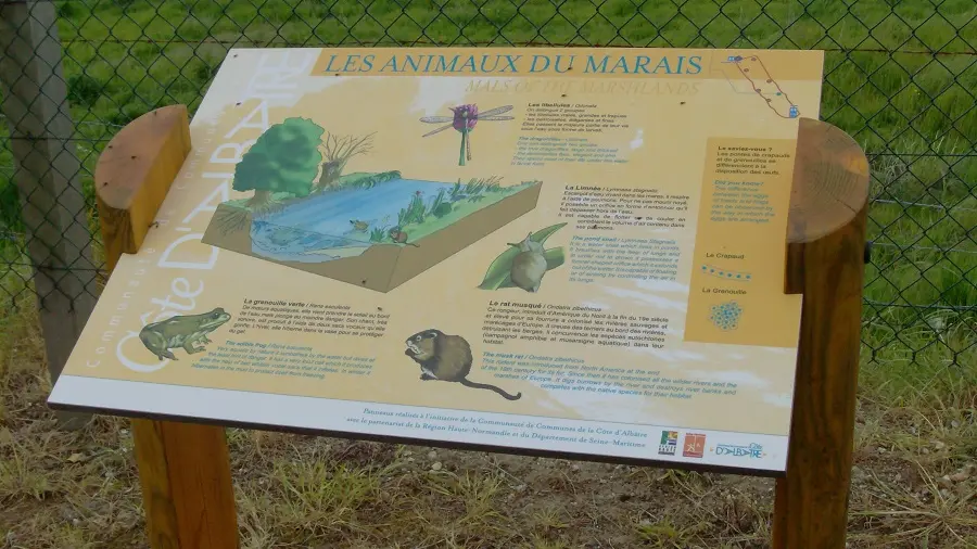 PNA-veulettes-sur-mer-parcours-basse-vallee-durdent--ccca-2020--7-