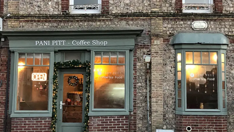 Pani Pitt