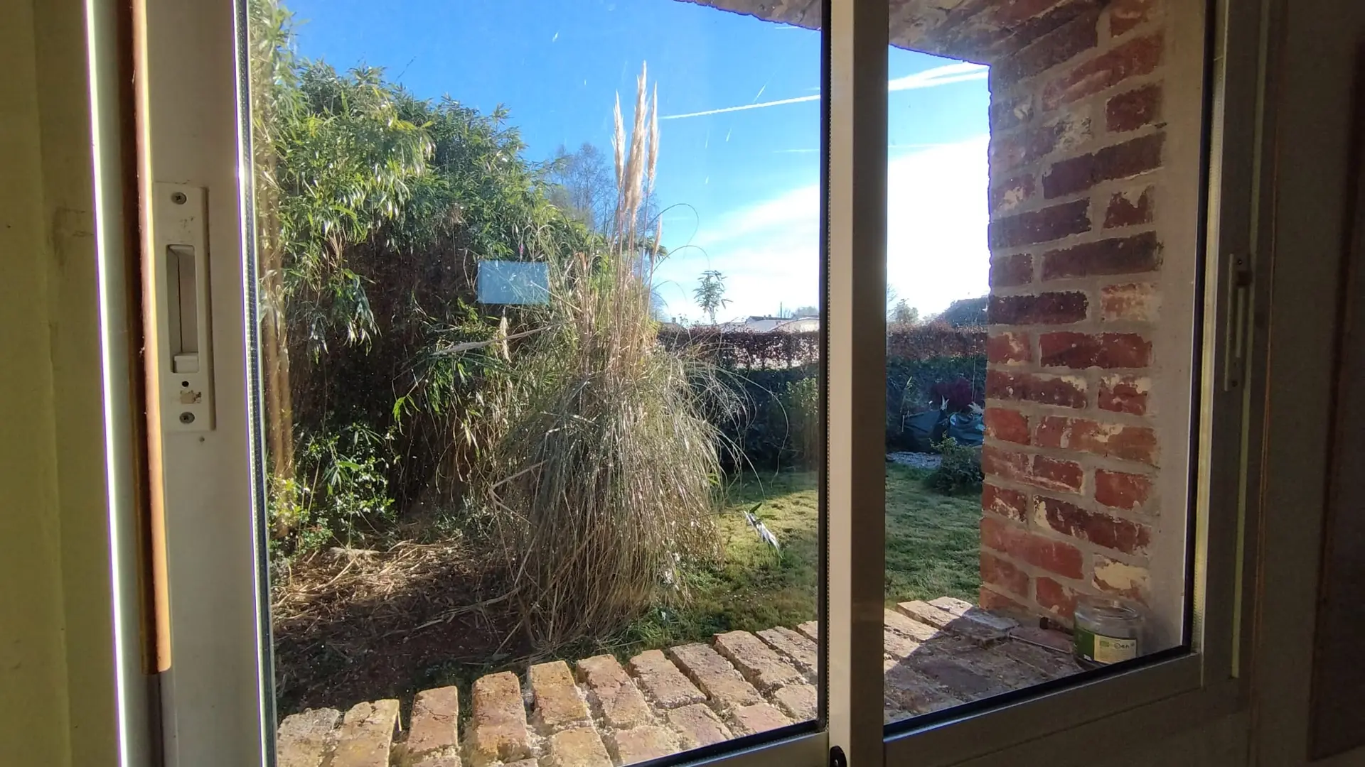 Papaver - Sainte-Foy - ©C. Ruquier (6)