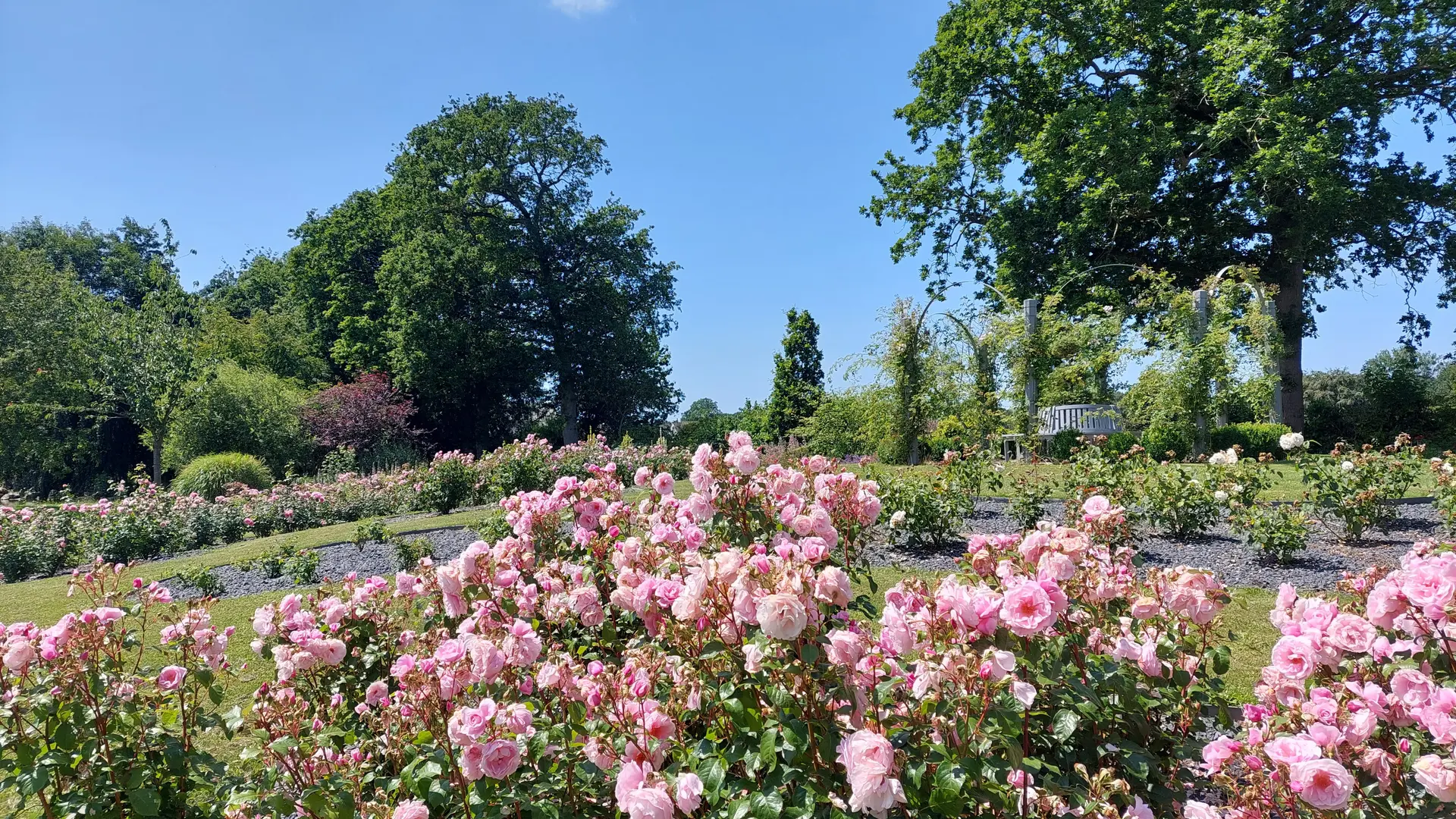 Parc floral William Farcy - La Roseraie