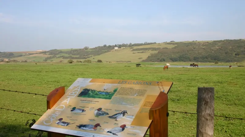 Parcours nature - Veulettes Paluel (4)