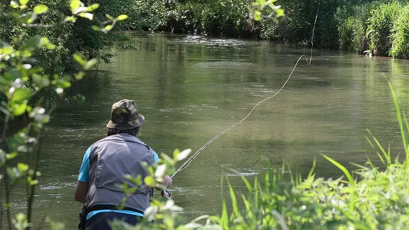 Pêcheur à la mouche