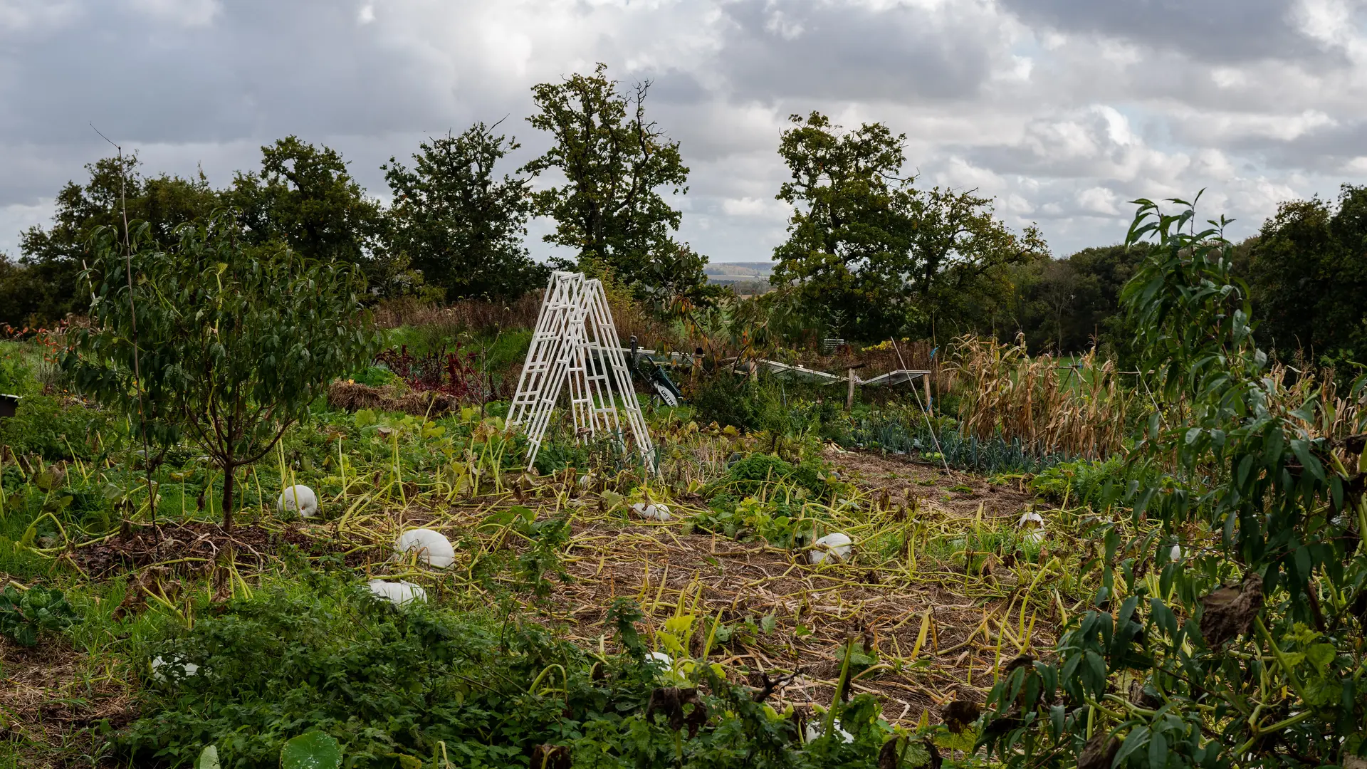 permaculture dieppe