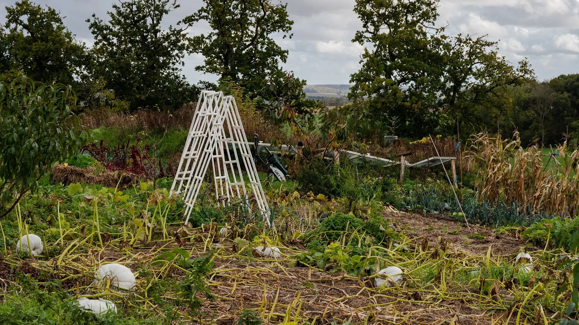 permaculture dieppe