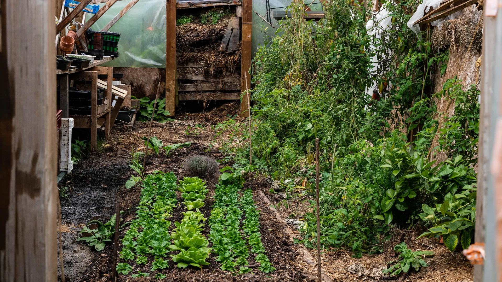 permaculture dieppe