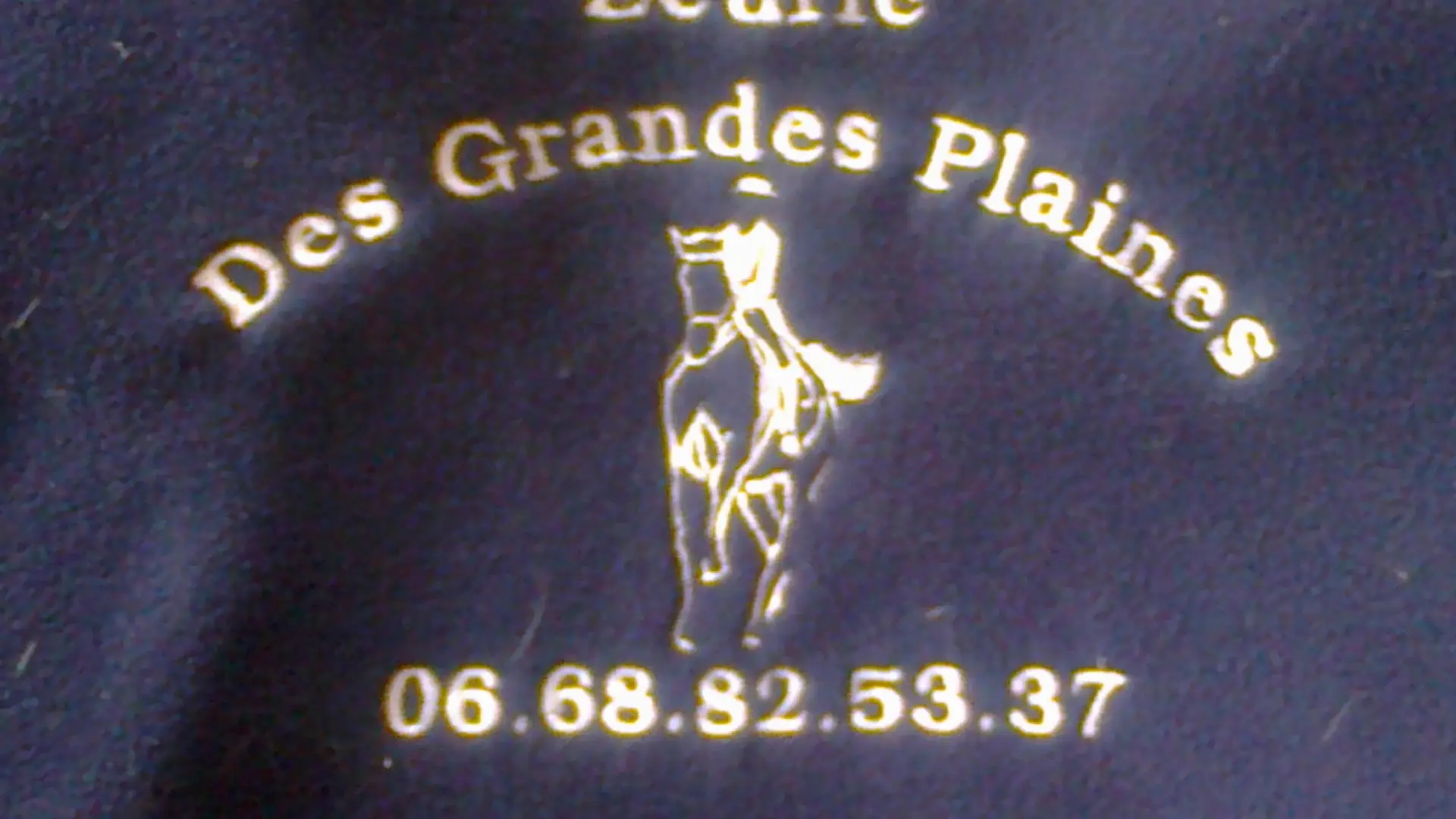 Logo de l'Écurie