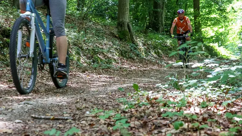 Randonnée à VTT