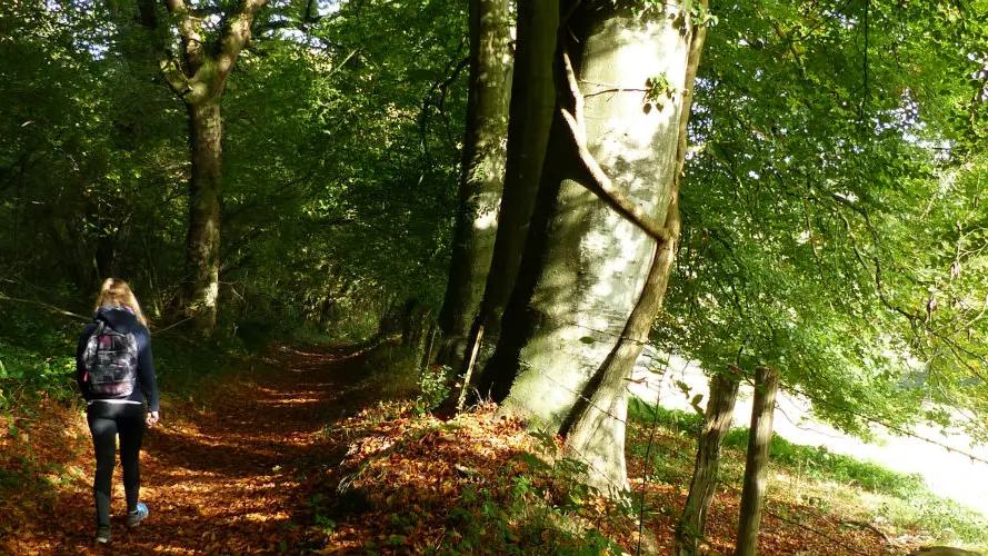 Randonnée Terroir de Caux Montigny