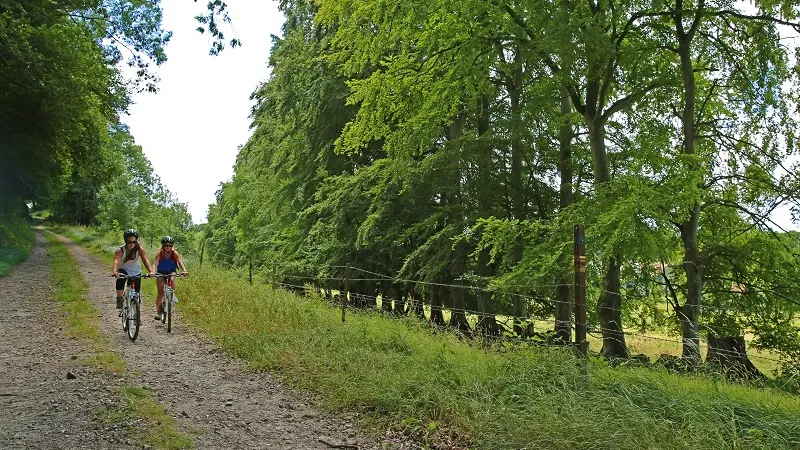 Randonnée à VTT