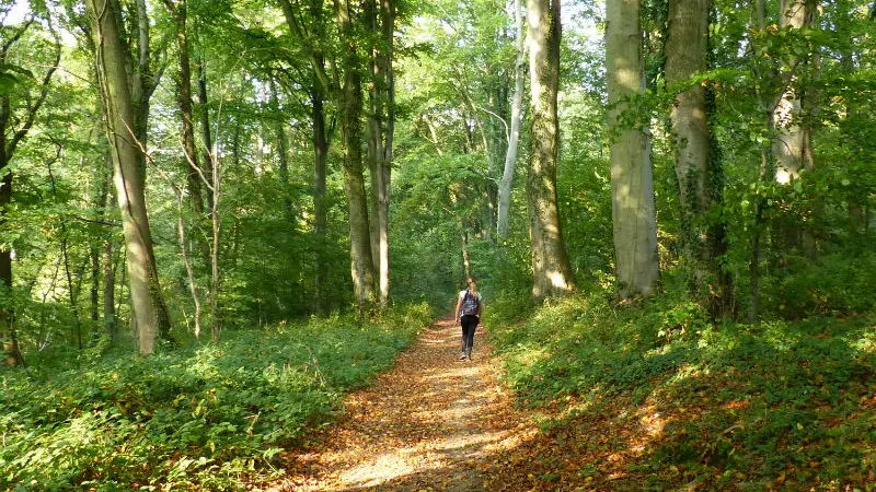 Randonnée Terroir de Caux Le Chemin des Frenettes