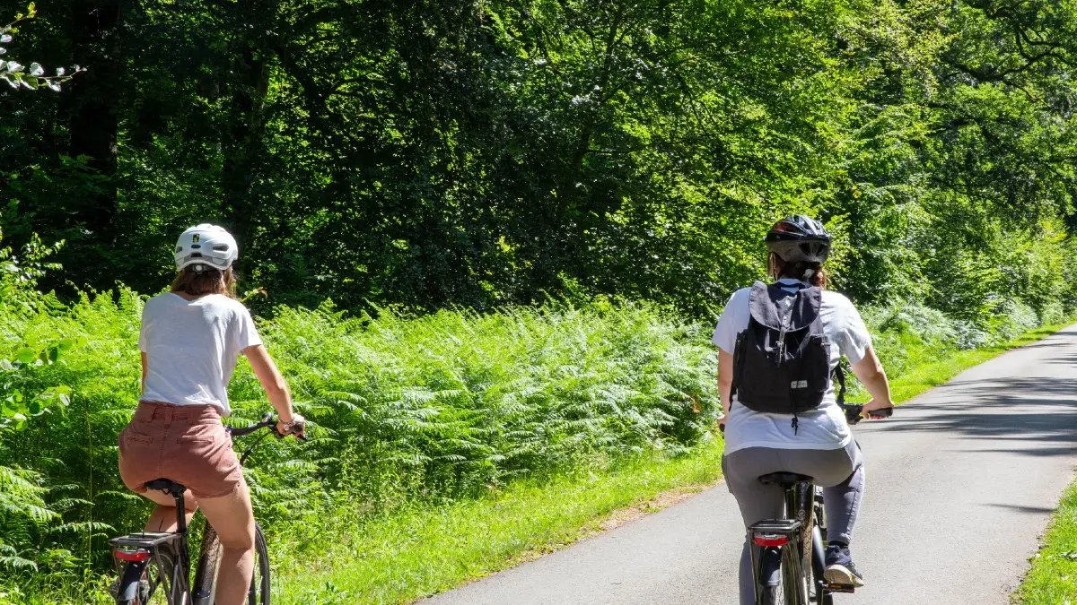 A vélo dans la forêt d'Eawy