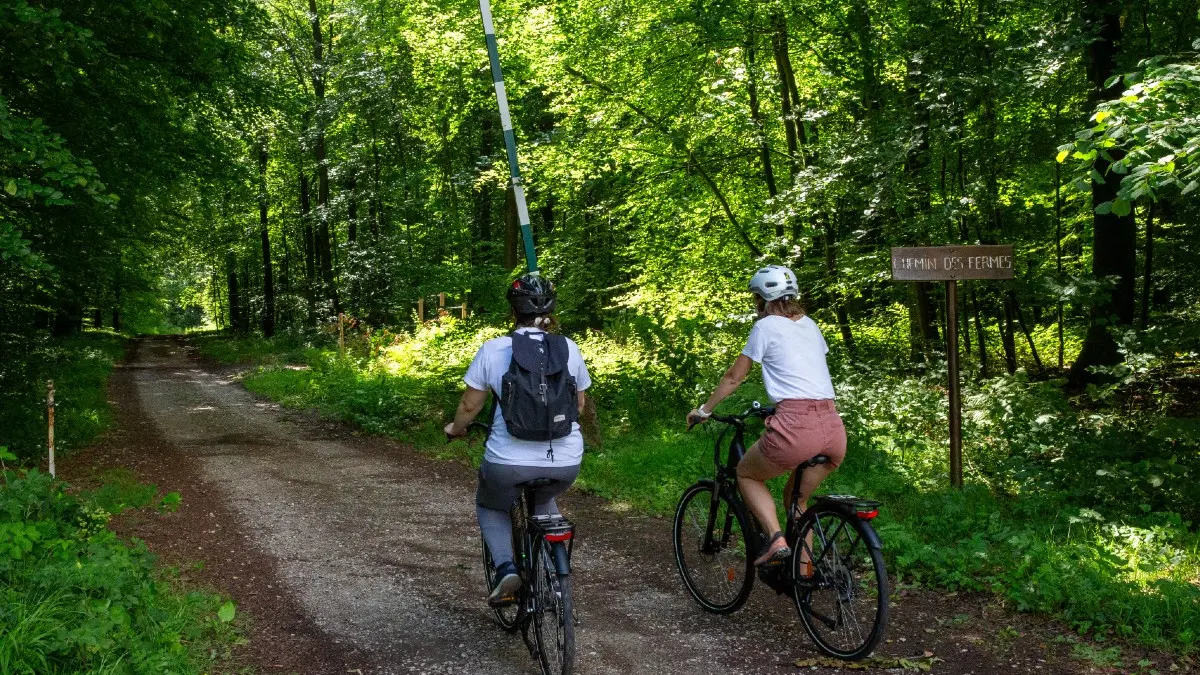A vélo dans la forêt d'Eawy
