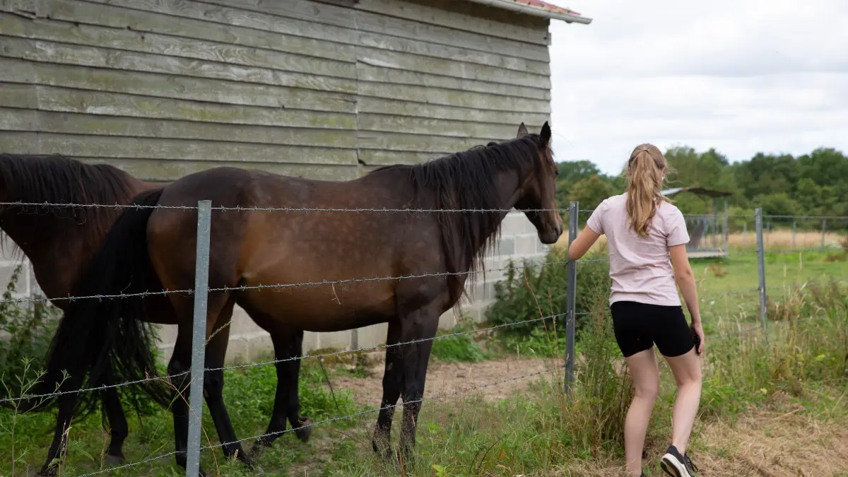 Rencontre dans le Pays de Caux
