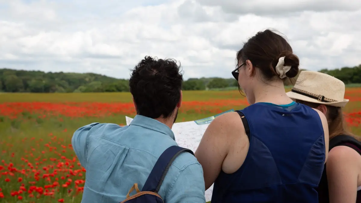 Parmi les coquelicots