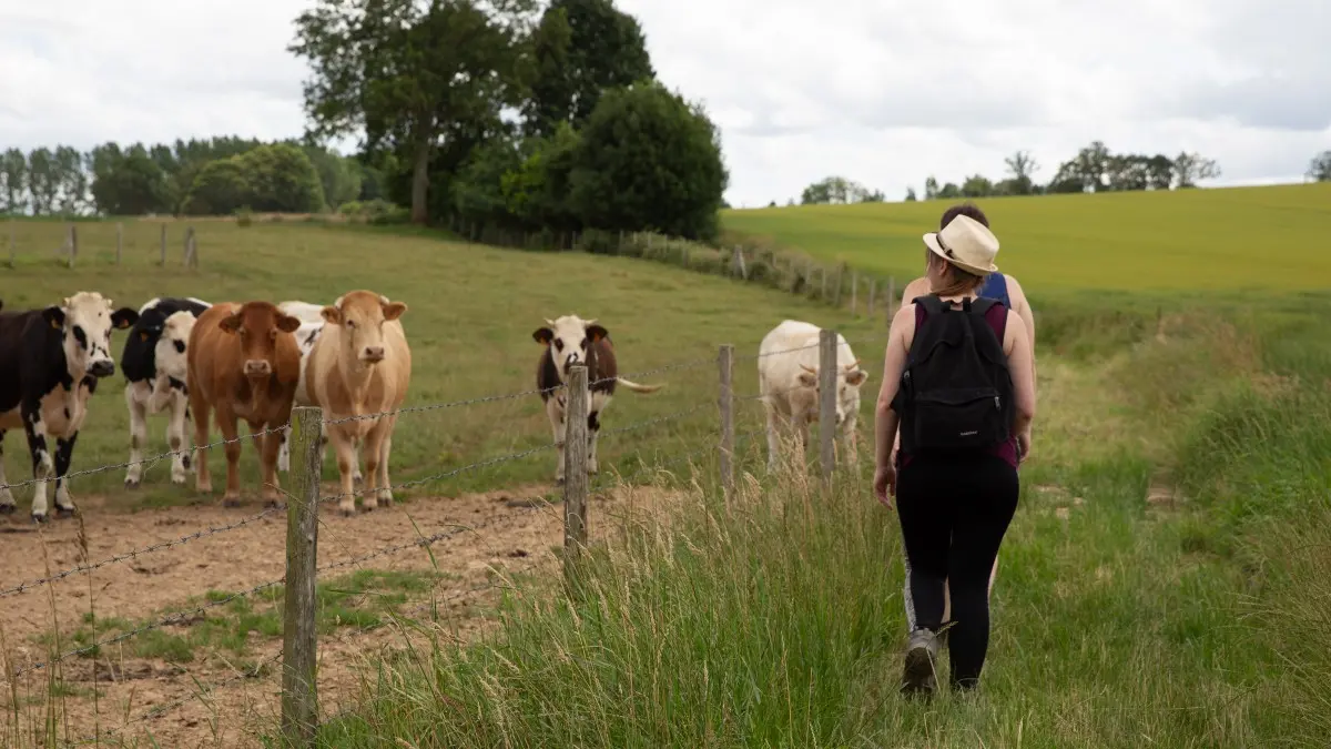 Sur les sentiers de la campagne cauchoise