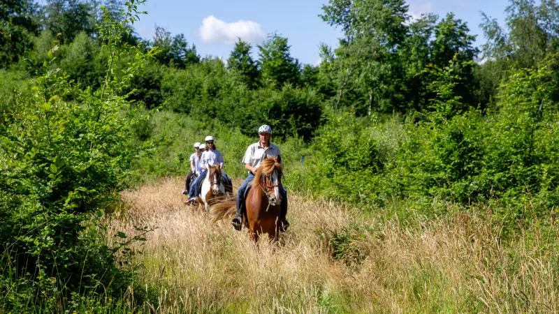 Reportage_équitation_V.DEBELS-118 800x600
