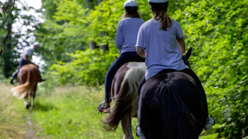 Reportage_équitation_V.DEBELS-137800x600