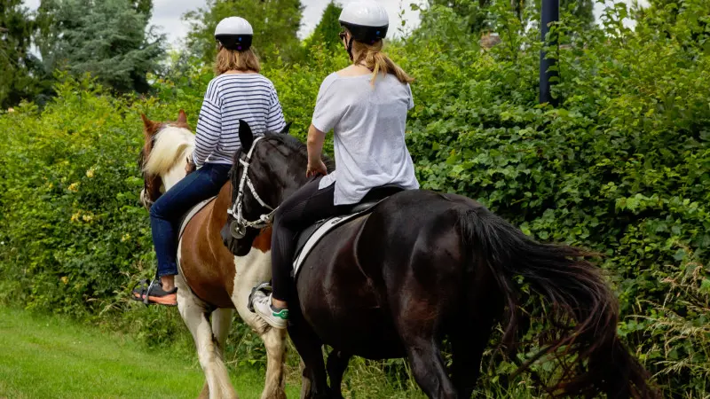 Reportage_équitation_V.DEBELS-143 800x600