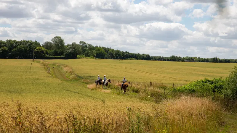 Reportage_équitation_V.DEBELS-164 800x600