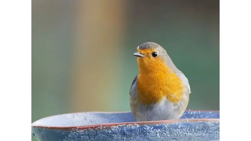 Saint-Clair_PoterieSeinomarine©CM_Fournier_3