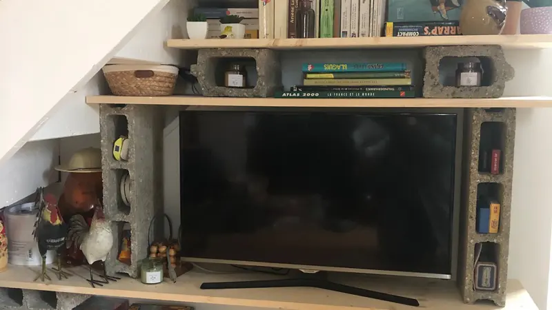 TV