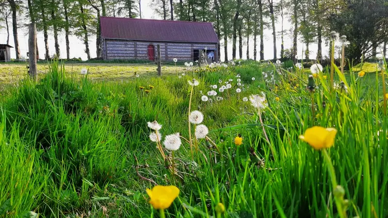 Touffreville_la_Corbeline©Le_Clos_dEstain_2022_6