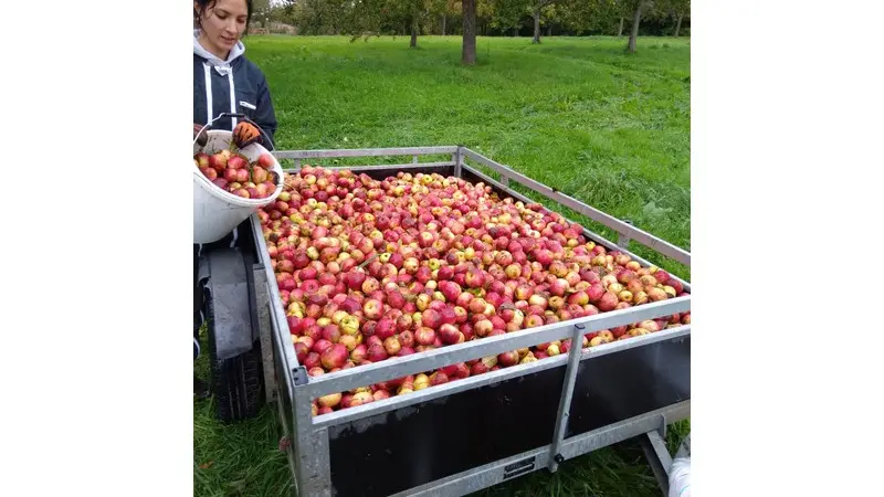 Touffreville_la_Corbeline©Le_Clos_dEstain_2022_8