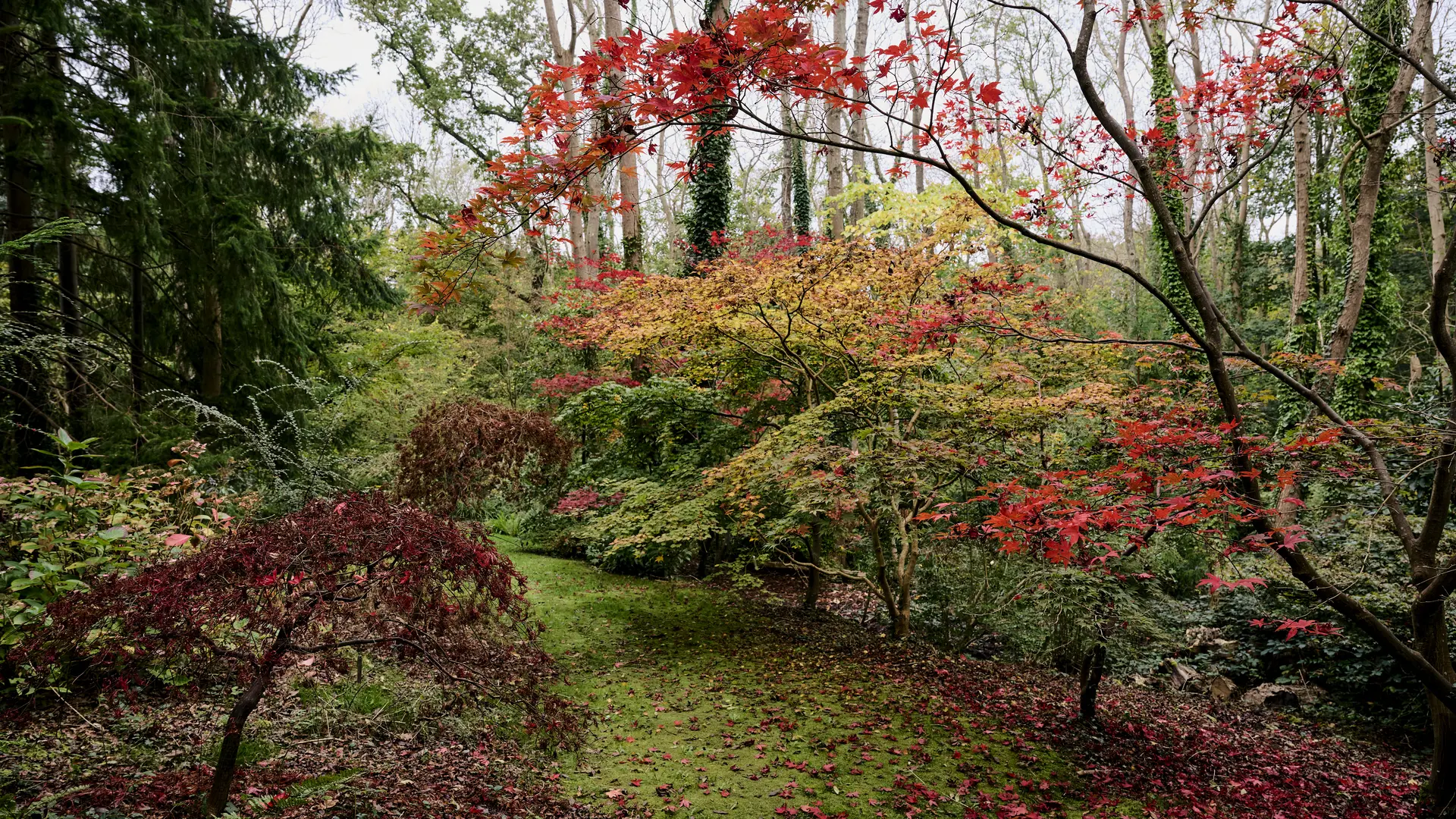 Vasterival-Automne24-Paysages-HD-002