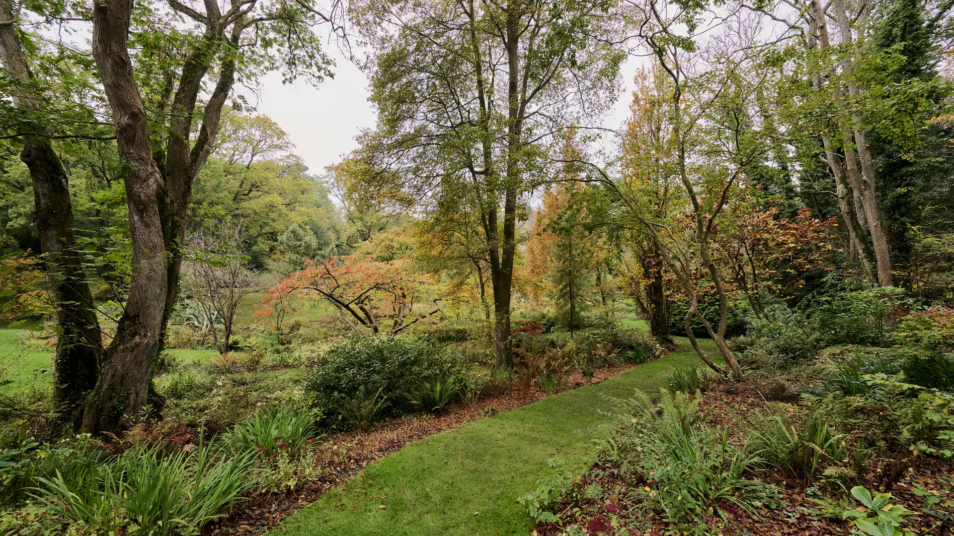 Vasterival-Automne24-Paysages-HD-004