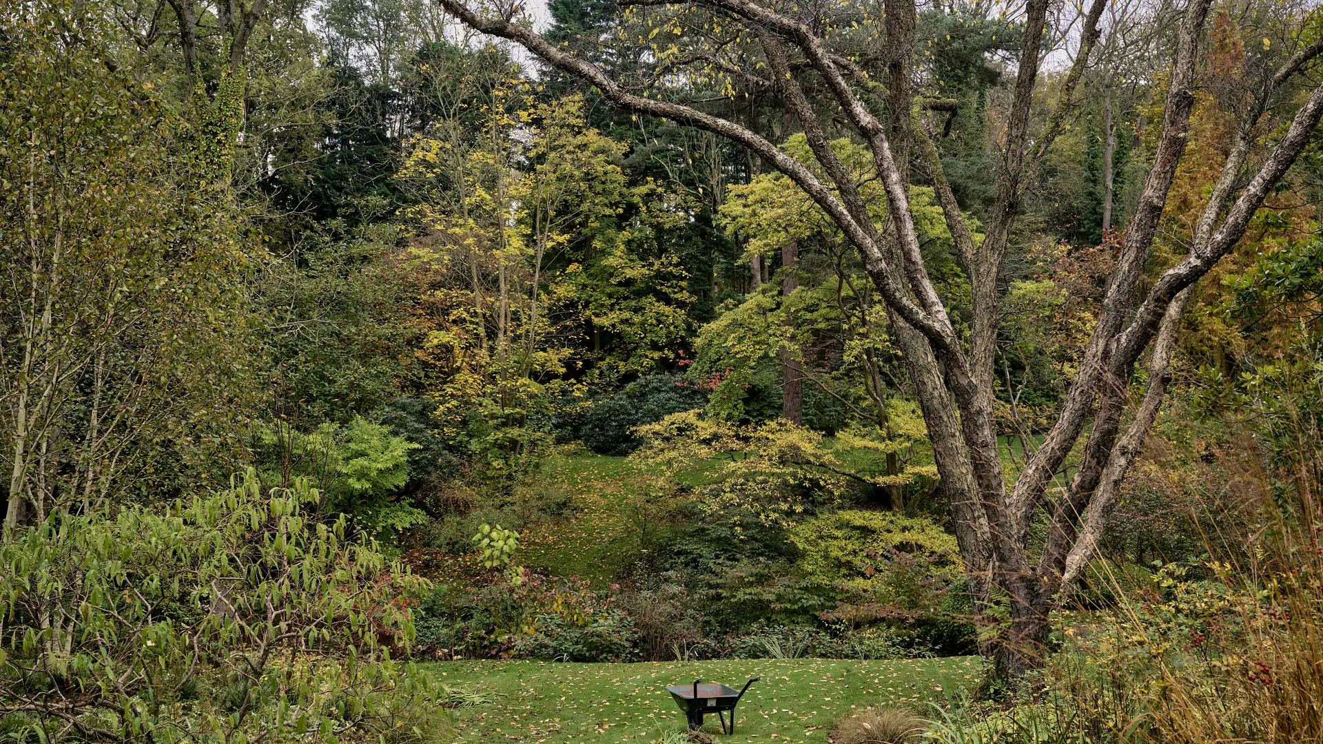 Vasterival-Automne24-Paysages-HD-011