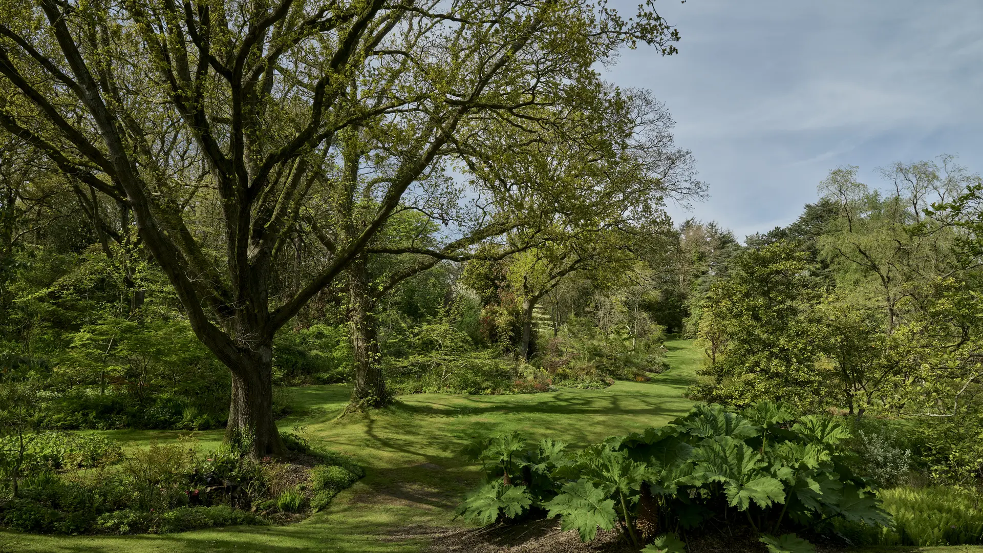 Vasterival-Printemps24-Paysages-HD-001