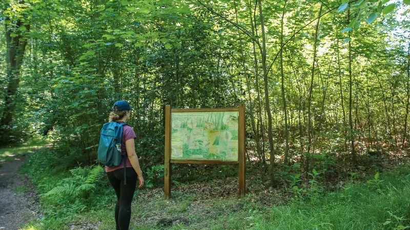 chemin_ecoliers-sma-SLECOQ 800x600 (5)
