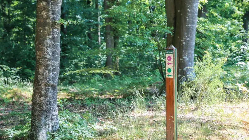 chemin_ecoliers-sma-SLECOQ 800x600 (3)