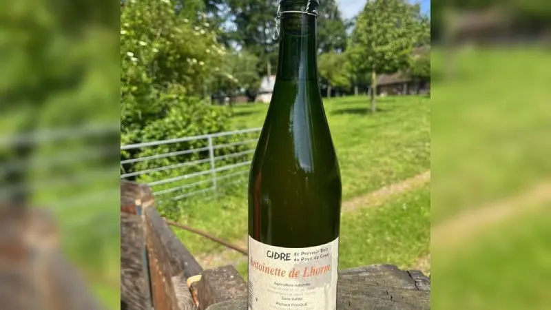cidre-nature-richard-fouque-bennetot-terres-de-caux-bouteille-cidre